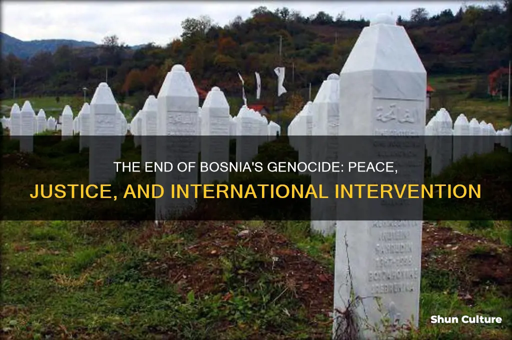 how did the bosnia herzegovina genocide end