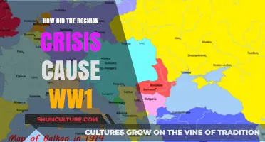 The Bosnian Crisis: Sparking Tensions Leading to World War I
