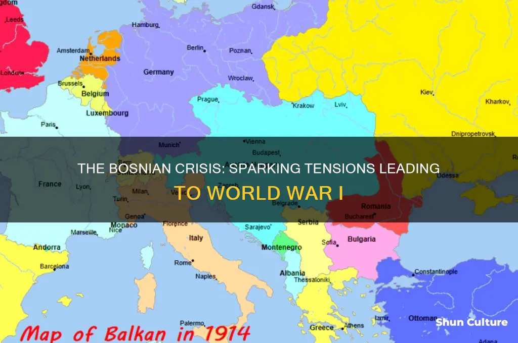 how did the bosnian crisis cause ww1