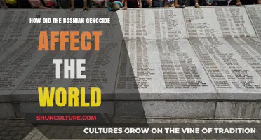 The Bosnian Genocide's Global Impact: Lessons, Legacy, and Lasting Consequences