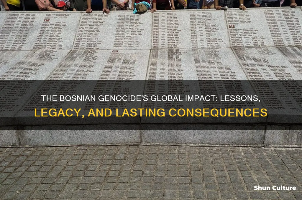 how did the bosnian genocide affect the world