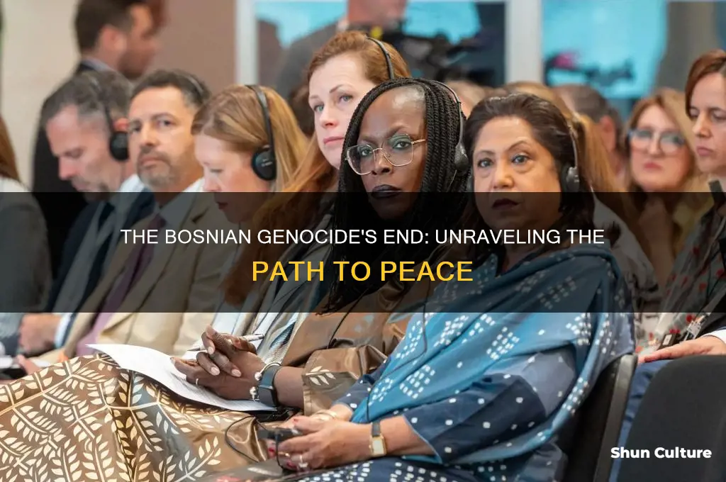 how did the bosnian genocide end yaho