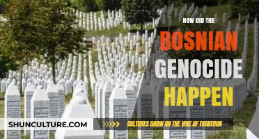 The Bosnian Genocide: Unraveling the Tragic Events and Causes