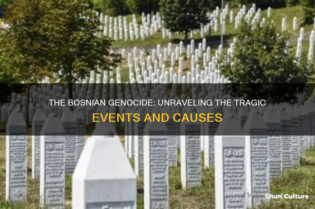 how did the bosnian genocide happen