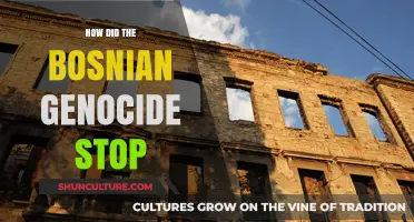 Ending the Bosnian Genocide: Key Factors and International Intervention