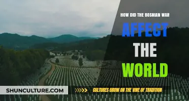 The Bosnian War's Global Impact: Shaping Politics, Society, and Humanity