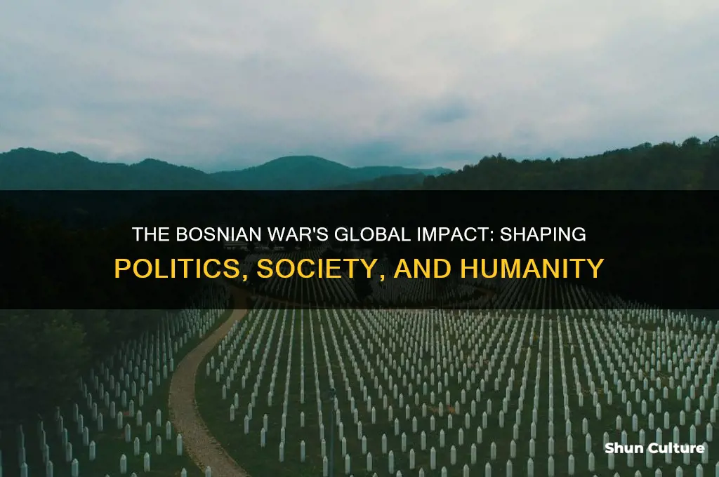 how did the bosnian war affect the world