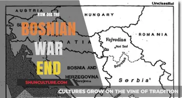 The Bosnian War's End: Peace Accords and International Intervention