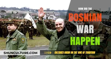 The Bosnian War: Unraveling the Complex Origins of a Devastating Conflict