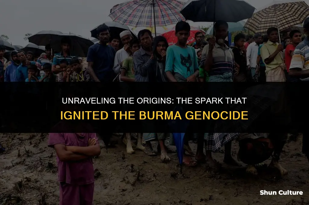 how did the burma genocide start