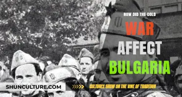 Bulgaria's Turbulent Journey: The Cold War's Impact Unveiled