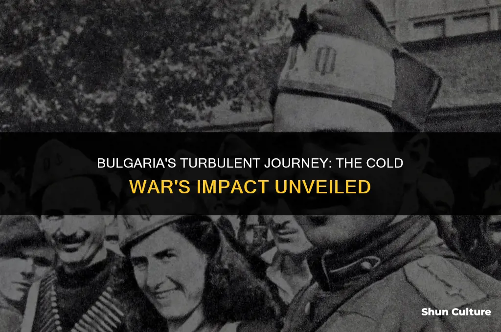 how did the cold war affect bulgaria