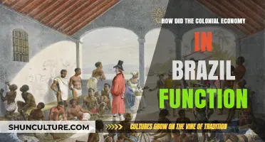 Colonial Brazil's Economic Structure: Labor, Trade, and Resource Exploitation