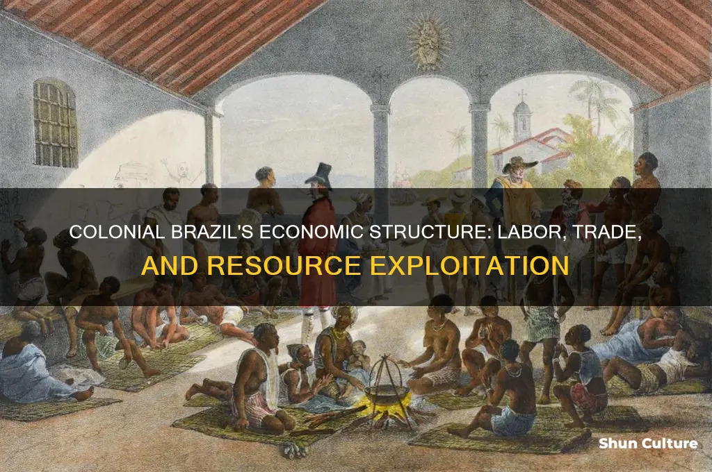 how did the colonial economy in brazil function