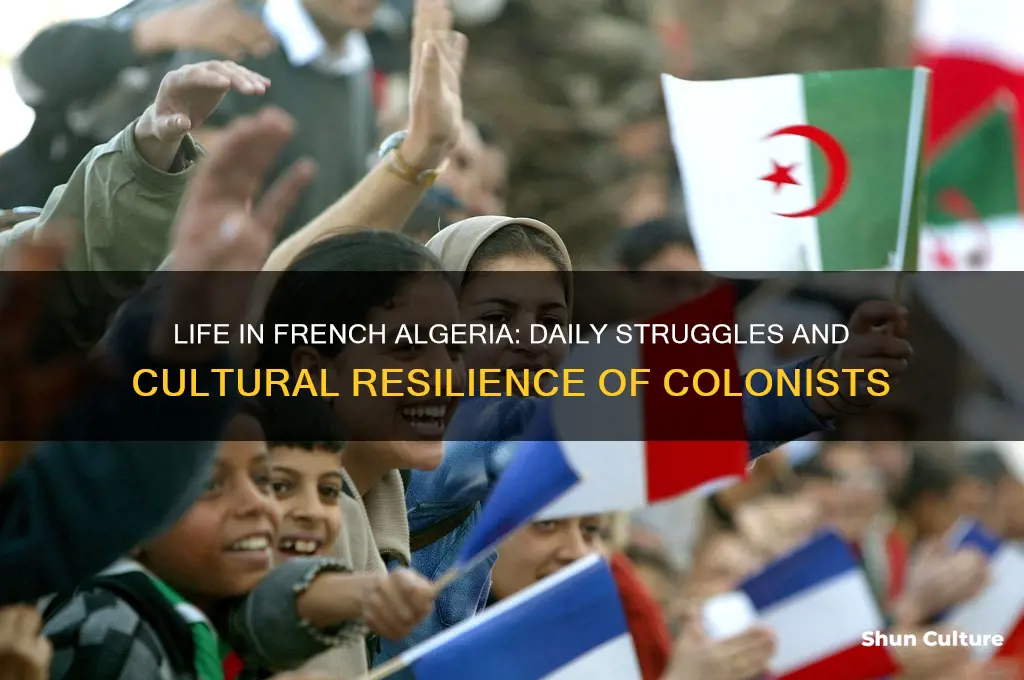 how did the colonist in algeria live