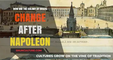 Napoleon's Impact: Transforming Brazil's Colonial Landscape Post-Invasion