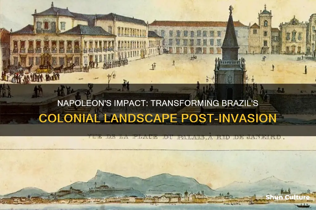 how did the colony of brazil change after napoleon