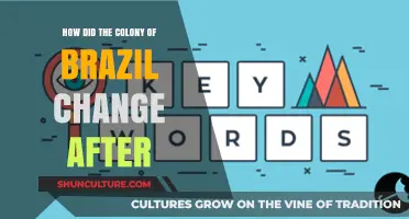 Brazil's Transformation: Post-Colonial Shifts in Politics, Culture, and Economy