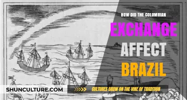 Columbian Exchange's Impact on Brazil: Cultural, Economic, and Agricultural Transformations