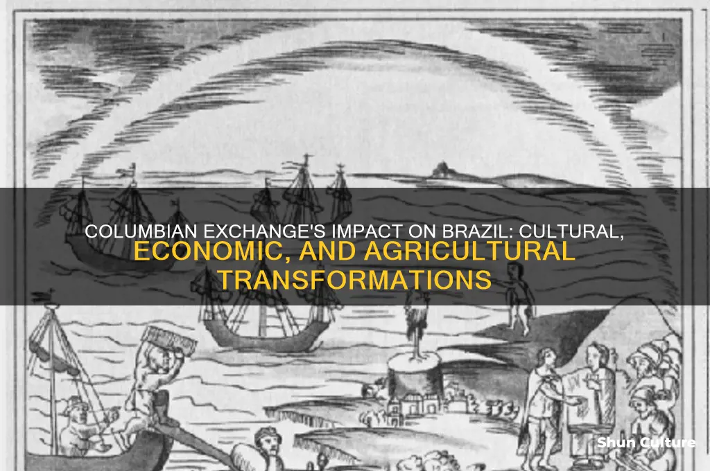 how did the columbian exchange affect brazil