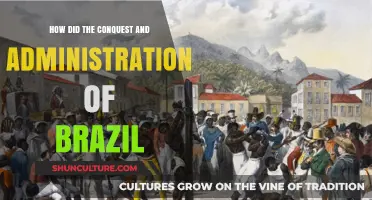 Brazil's Conquest and Administration: A Historical Overview of Colonial Rule