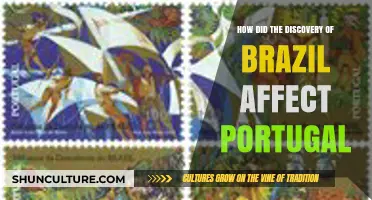 Brazil's Discovery: Transforming Portugal's Empire, Economy, and Global Influence