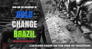 Gold Rush: Transforming Brazil's Economy, Society, and Colonial Legacy
