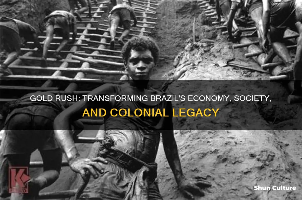 how did the discovery of gold change brazil