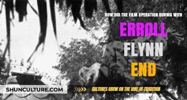 Unraveling the Mystery: How Did Errol Flynn's Operation Burma Conclude?