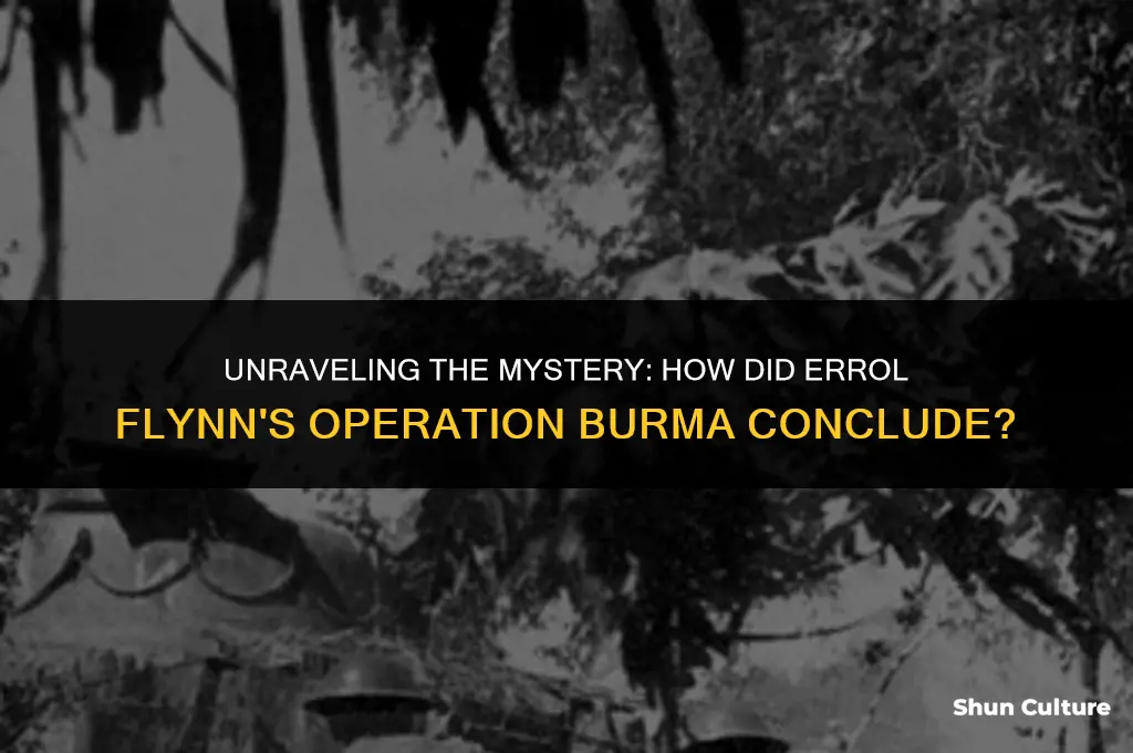 how did the film operation burma with erroll flynn end