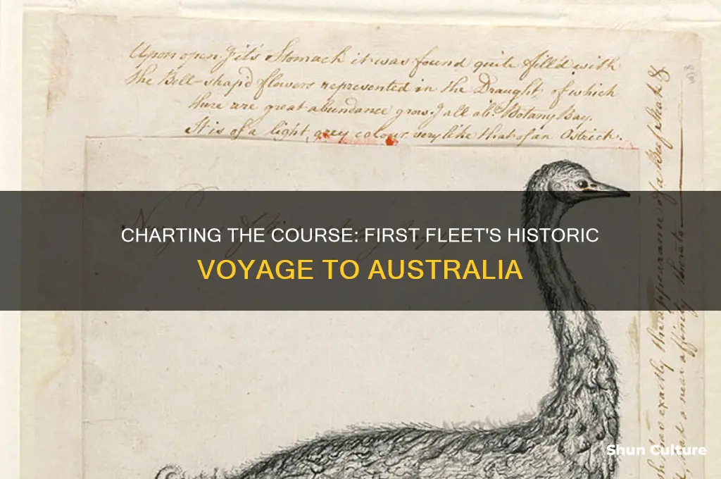 how did the first fleet navigate to australia