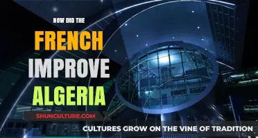French Influence in Algeria: Infrastructure, Education, and Cultural Legacy Explored