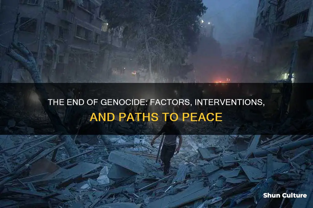 how did the genocide end