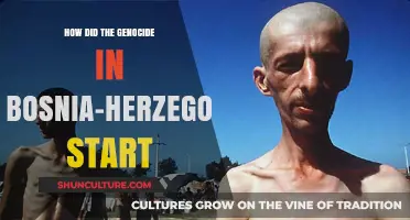 The Spark of Horror: Origins of Bosnia-Herzegovina's Genocide
