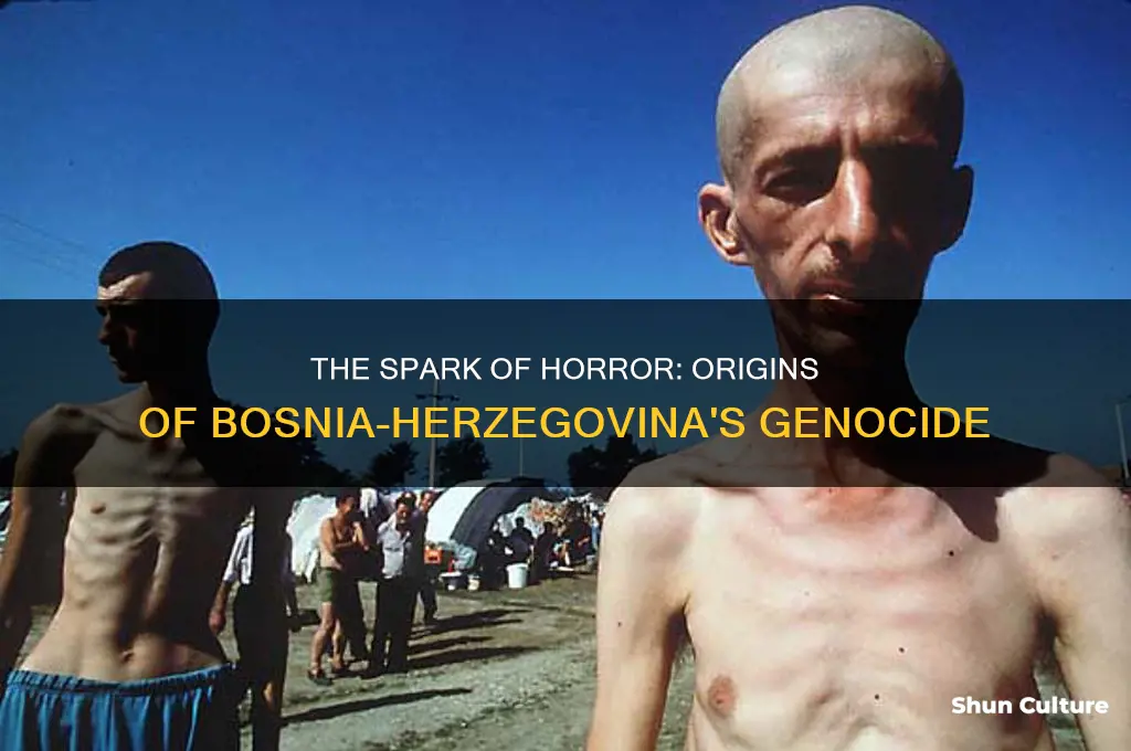 how did the genocide in bosnia-herzegovina start