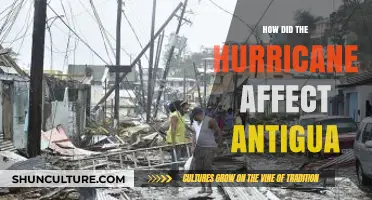 Hurricane's Impact on Antigua: Devastation, Resilience, and Recovery Efforts