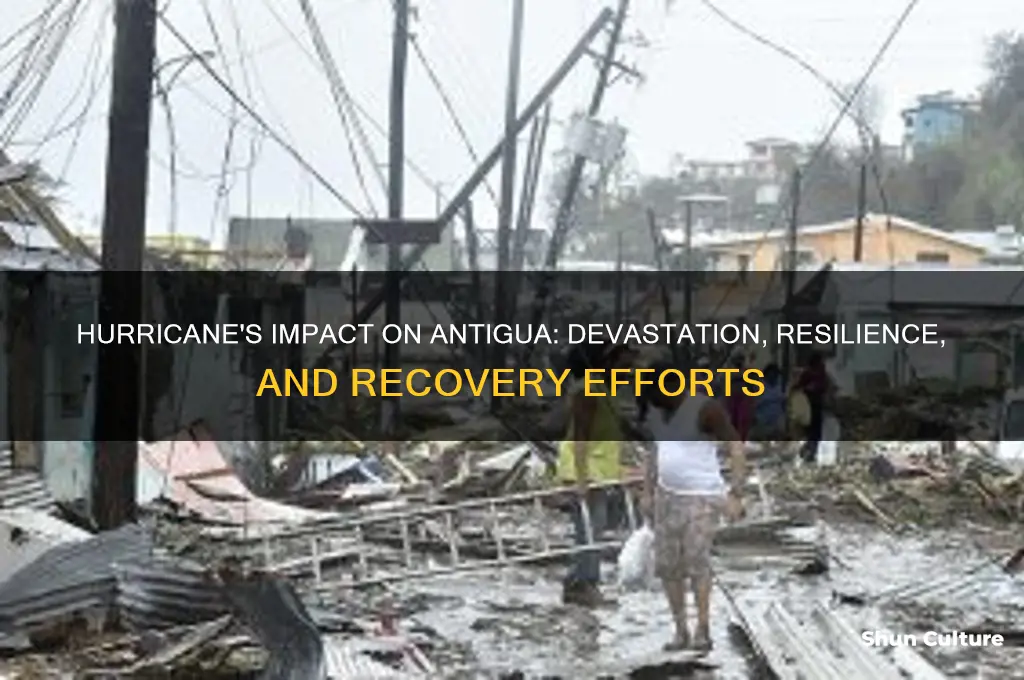 how did the hurricane affect antigua