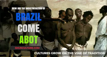 The Rise of Brazil's Industrialization: A Historical Overview