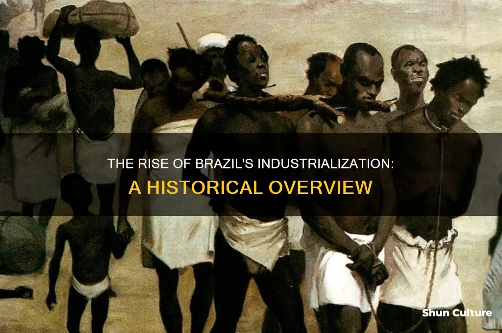 how did the indistresation of brazil come abot
