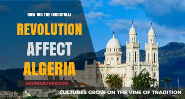 Industrial Revolution's Impact on Algeria: Economic, Social, and Colonial Changes