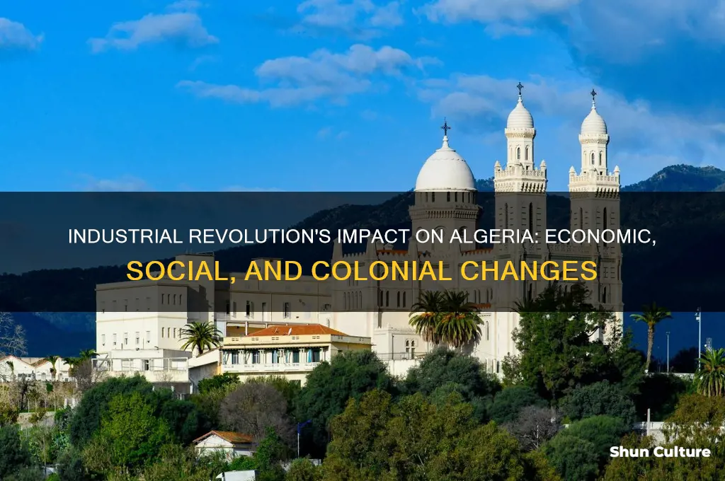how did the industrial revolution affect algeria