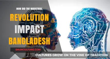 Industrial Revolution's Transformative Effects on Bangladesh's Economy and Society