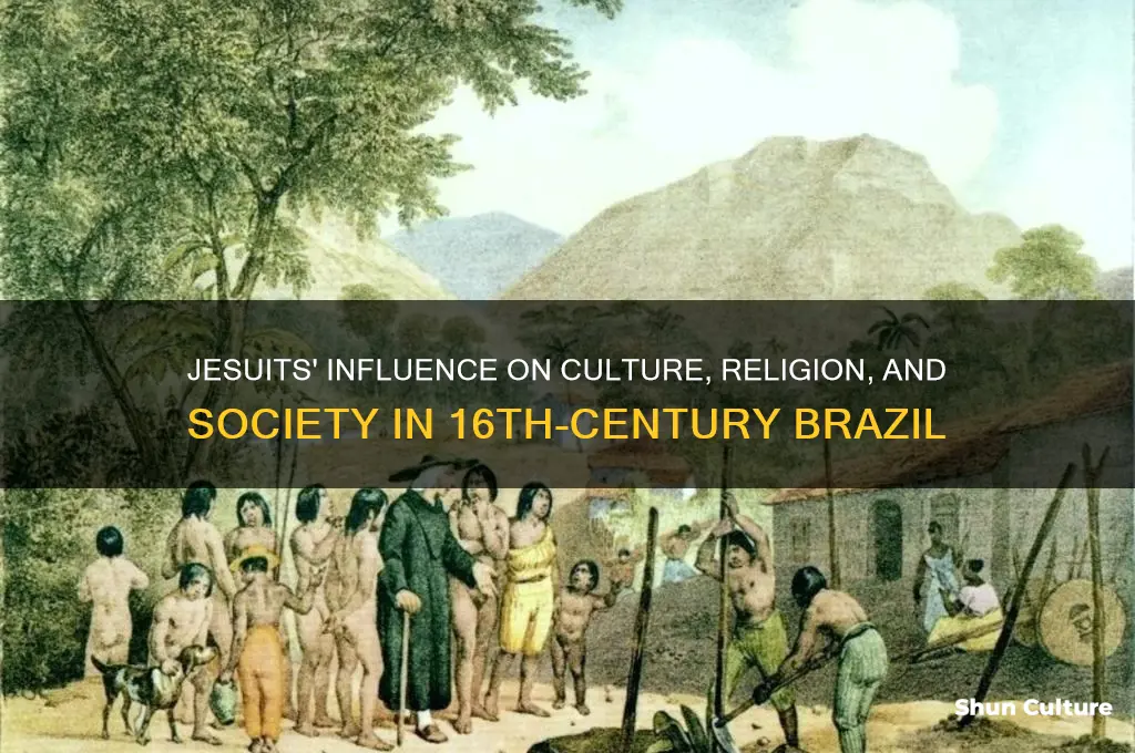 how did the jesuits affect life in sixteenth century brazil
