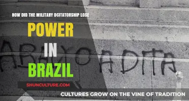 Brazil's Transition: How Military Dictatorship Fell and Democracy Rose