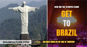 The Olympic Flame's Journey to Brazil: A Torch Relay Tale