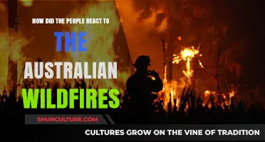 Humanity's Response to Australia's Wildfires