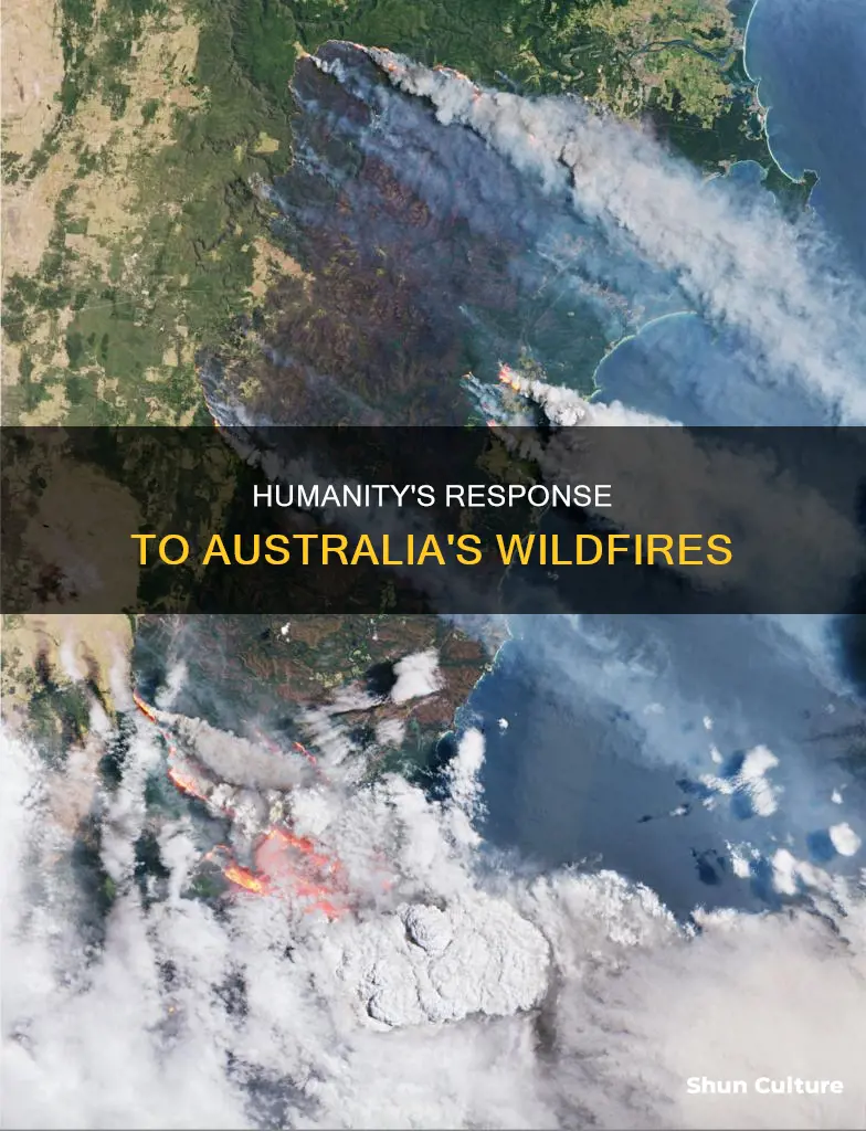 how did the people react to the australian wildfires