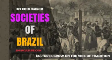 Brazil's Plantation Societies: Origins, Impact, and Historical Legacy Explored