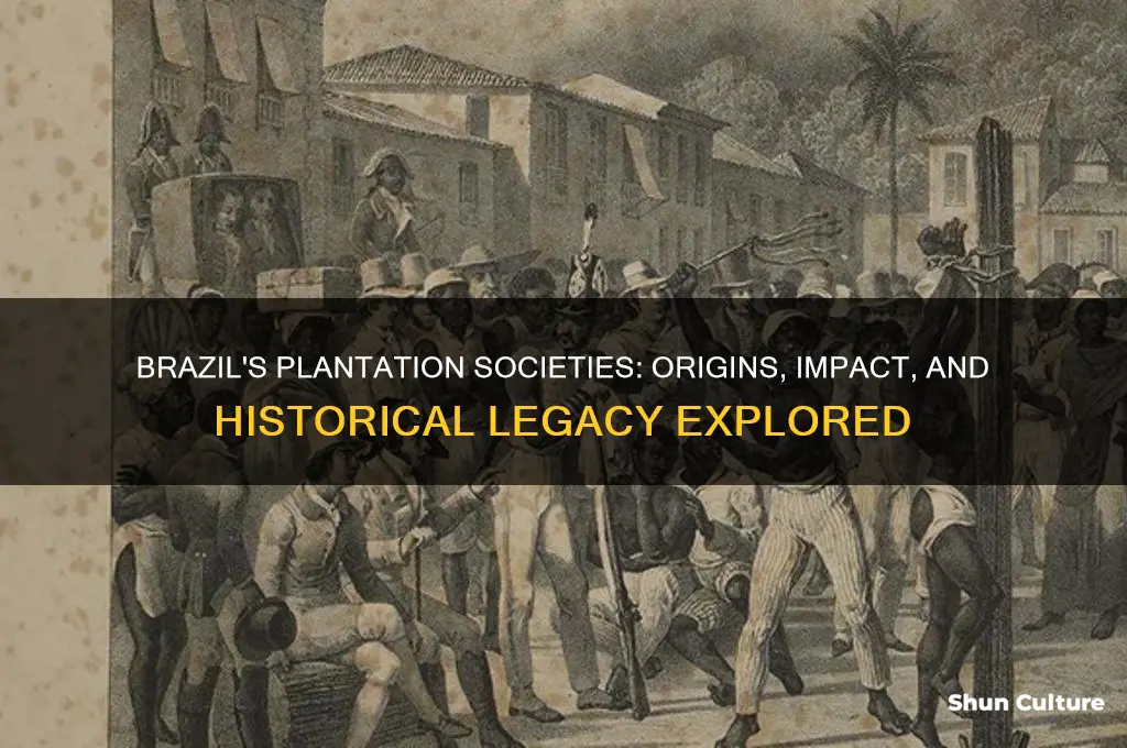 how did the plantation societies of brazil