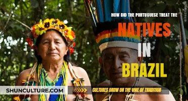 Portuguese Colonization in Brazil: The Treatment of Indigenous Peoples